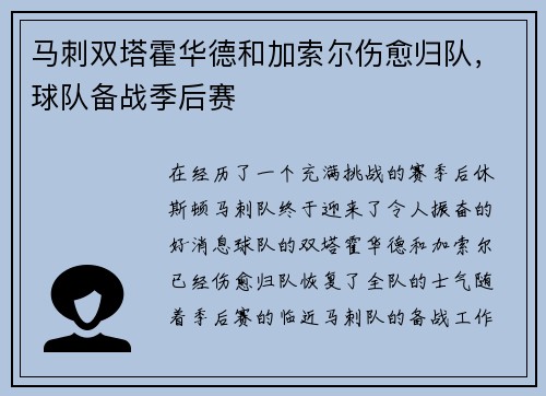 马刺双塔霍华德和加索尔伤愈归队，球队备战季后赛