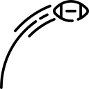 韦芝